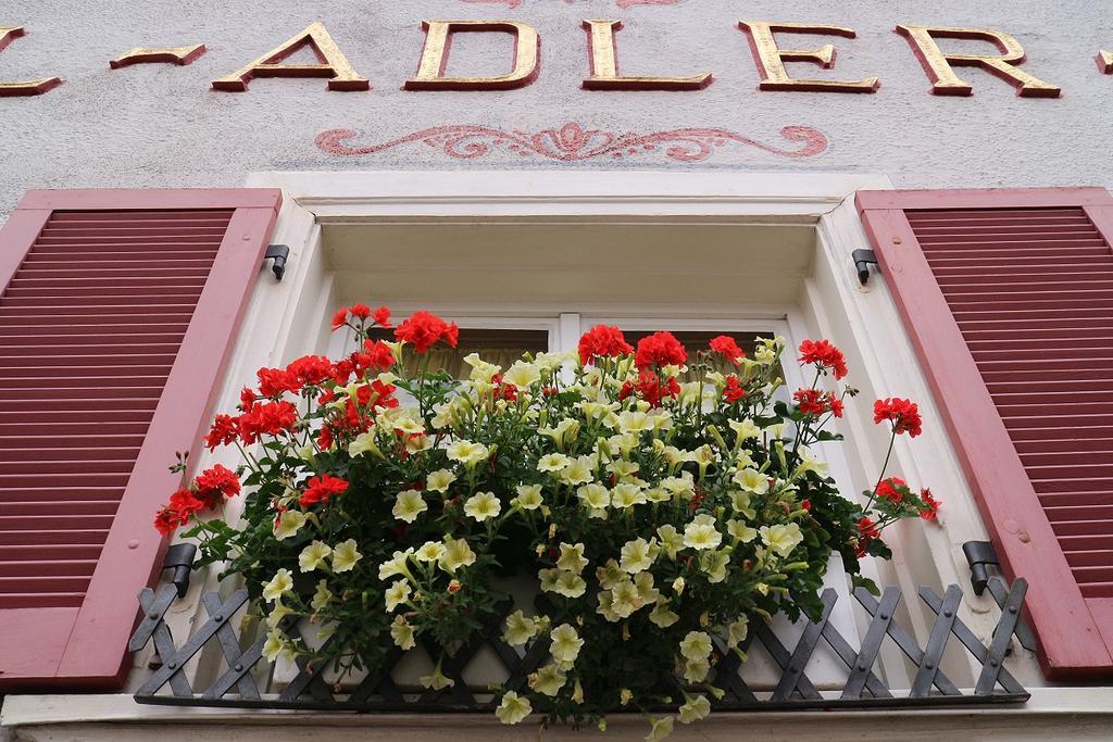 Hotel Adler Post